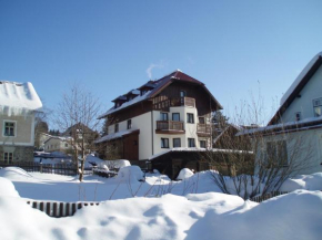 Гостиница Apartmany Železná Ruda, Железна Руда